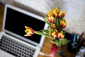 konkurs-florystyczny-kwiaty-przy-laptopie