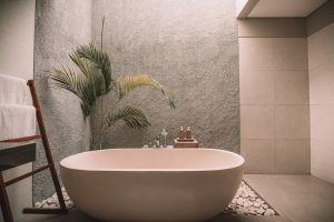 rośliny do łazienki - minimalizm